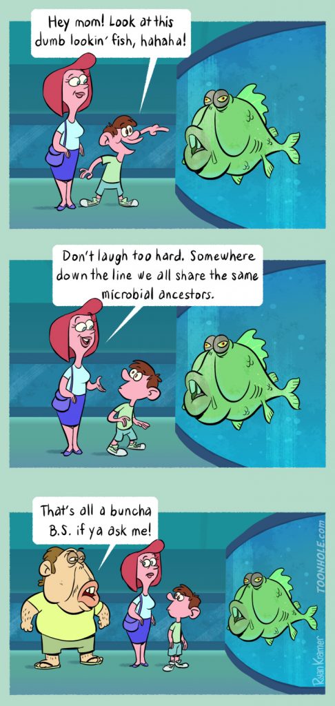 dumb-fish